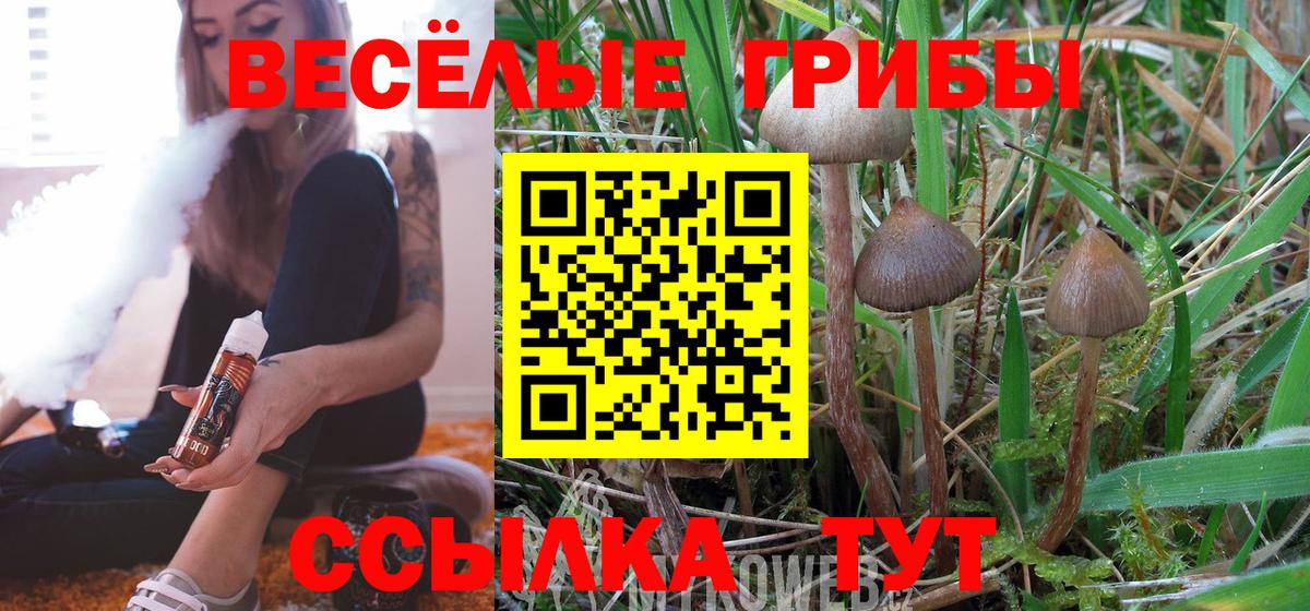 Псилоцибиновые грибы Psilocybine cubensis Корсаков