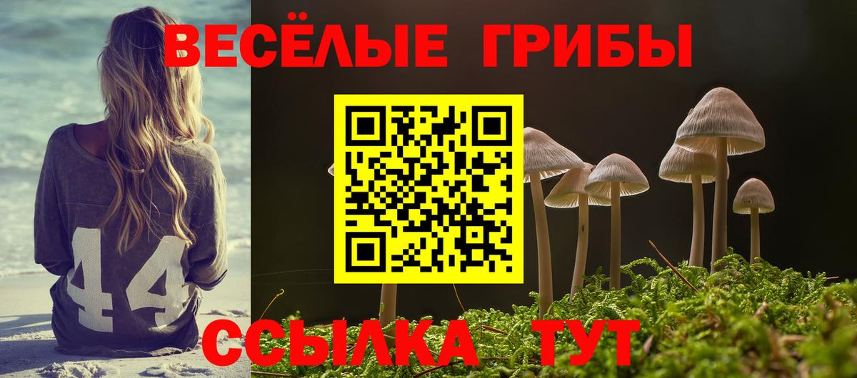 Корсаков  Псилоцибиновые грибы Magic Shrooms  Вход с VPN 